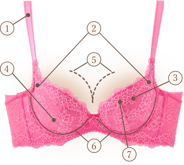 キスするブラ解説図