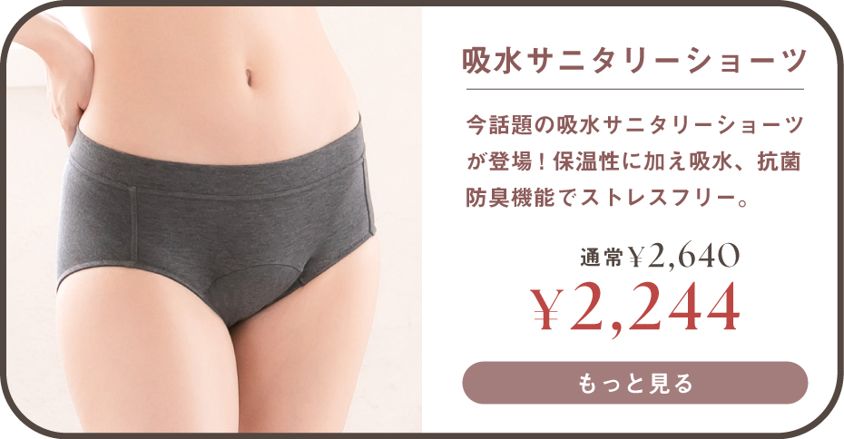 吸水サニタリーショーツはこちら