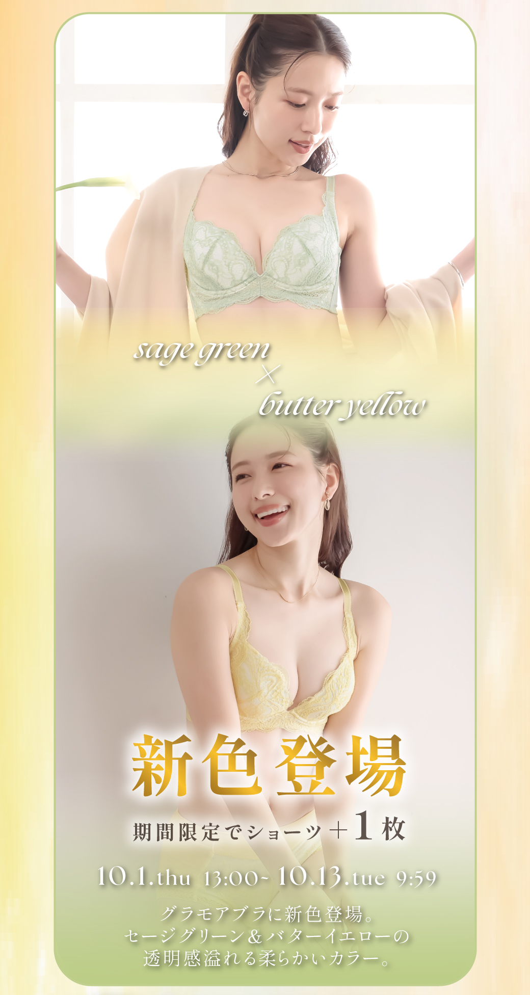 グラモアブラ祭り