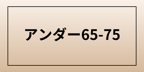 グラモアブラ アンダー65-75