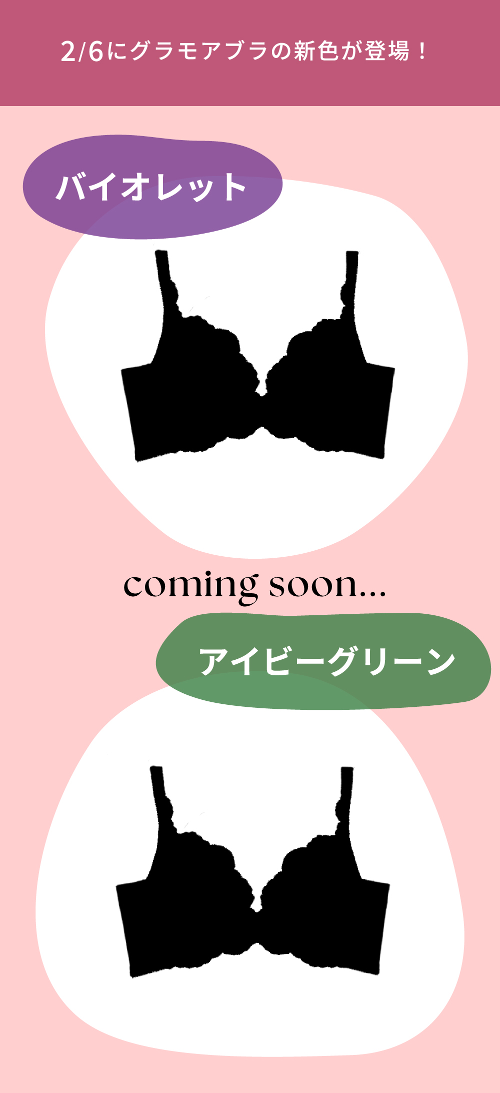 新色＆上下セット特集！