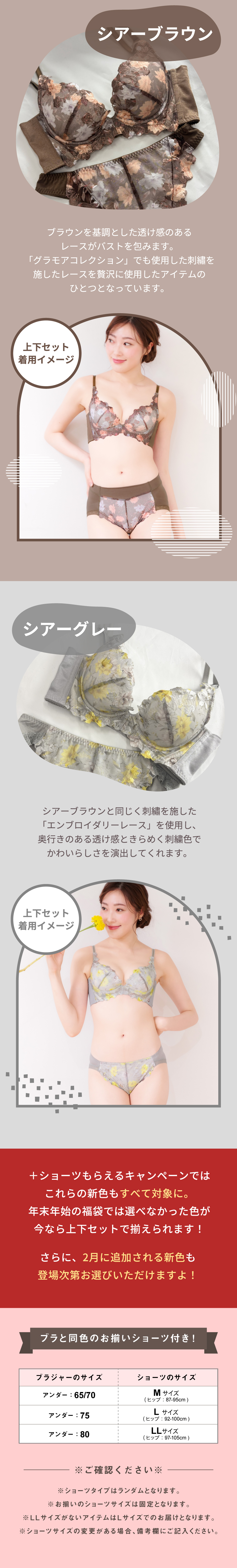 新色＆上下セット特集！