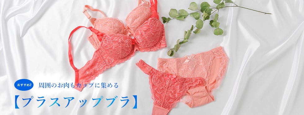 おすすめ2 周囲のお肉もカップに集める【プラスアップブラ】