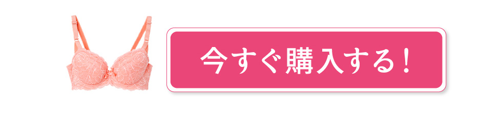 プラスアップブラ購入はこちら
