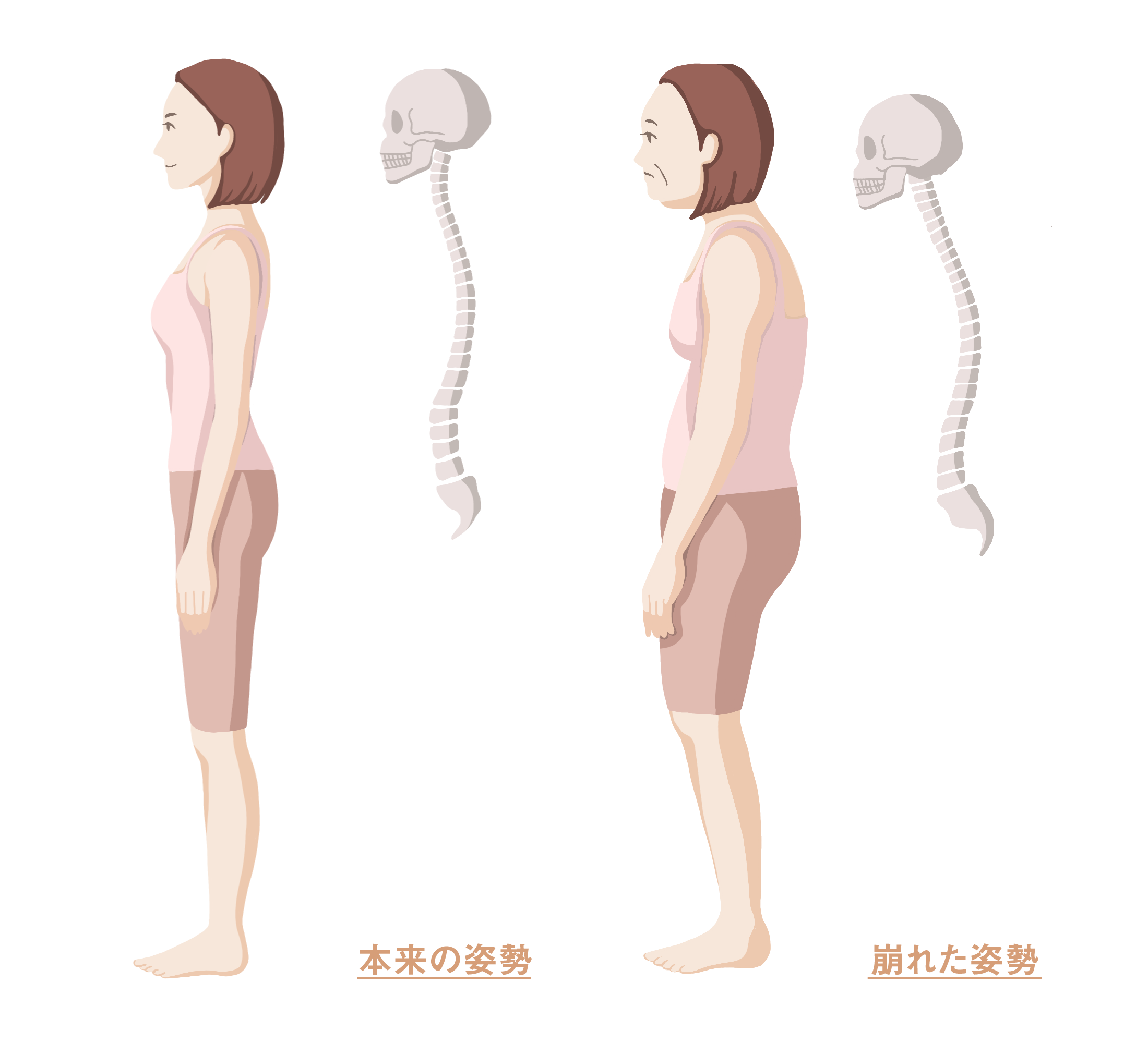 対談の女性の姿勢比較