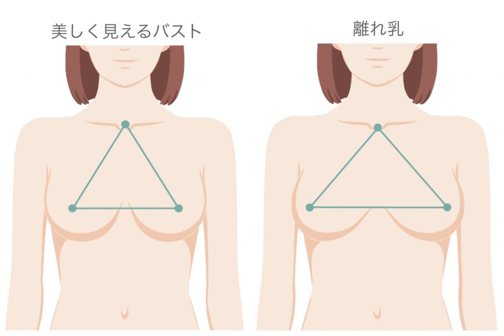 美しく見えるバストと離れ乳