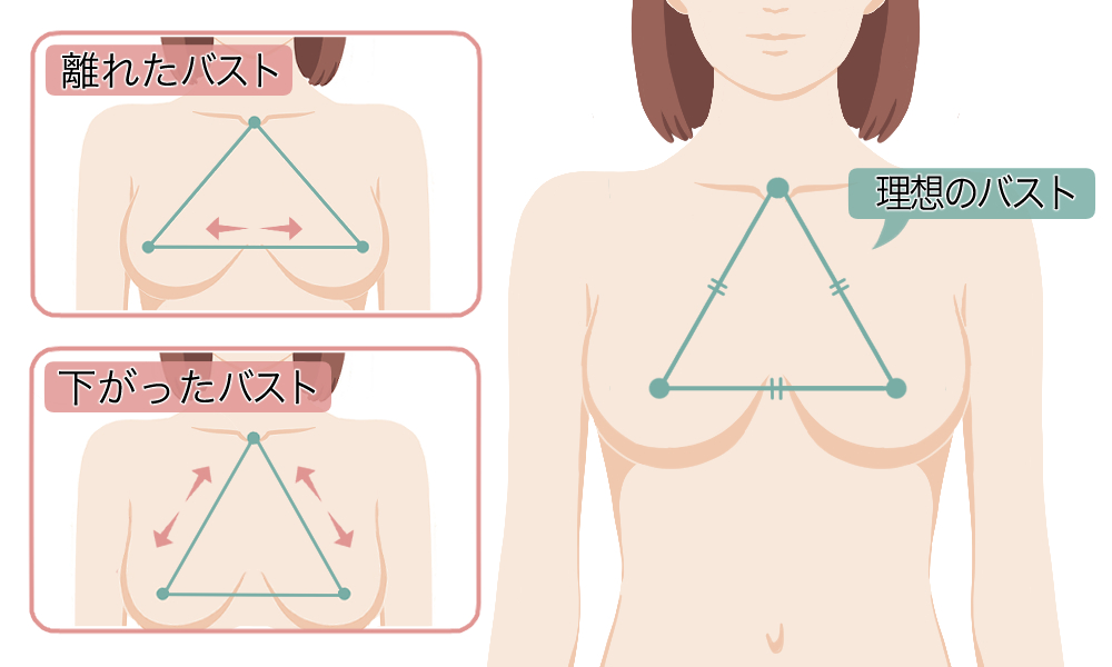 自分の正しいバストの位置を確認しよう！
